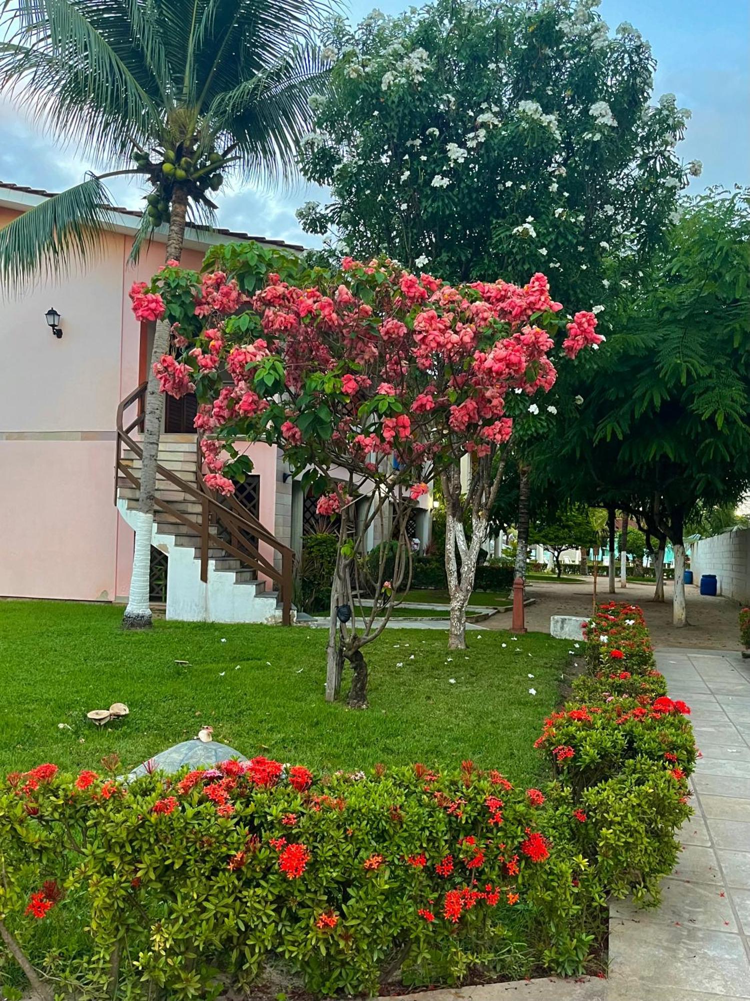 Starlounge Villa Maragogi Bagian luar foto